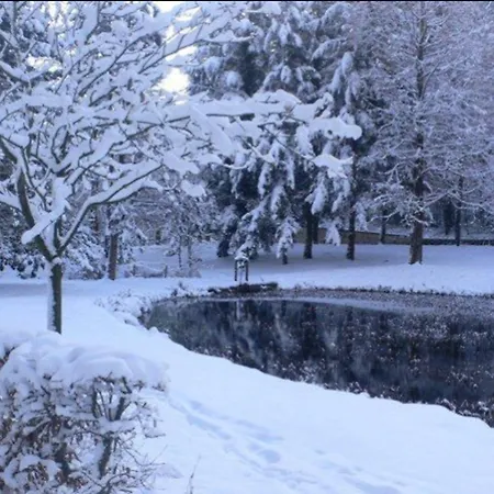 ホテル シューブレン 3*